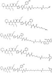 Figure FDF0000007358010000081