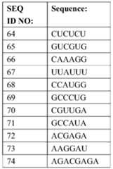 Figure PCTCN2022095749-appb-000018