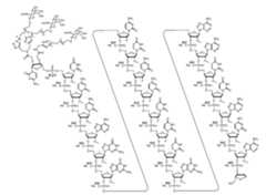 Figure imgf000124_0001