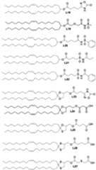 Figure imgf000037_0001