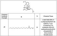 Figure imgf000032_0001