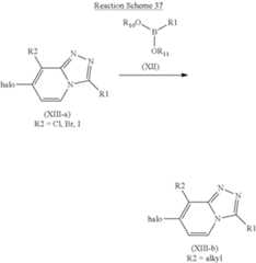 Figure US10071095-20180911-C00064