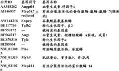 Figure BDA0000057170160002102