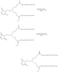 Figure US06759509-20040706-C00070