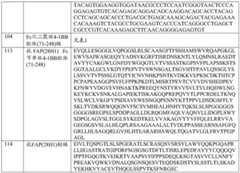 Figure BDA0001868160740001181