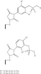 Figure US08206901-20120626-C00007