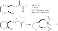 Figure US06359182-20020319-C00095