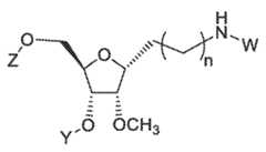 Figure imgf000134_0004