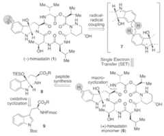 Figure imgf000092_0001
