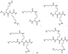 Figure imgf000106_0002