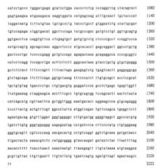 Figure 108131991-A0202-12-0216-925