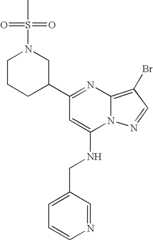Figure US07119200-20061010-C00233
