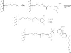 Figure US06379895-20020430-C00038