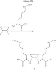 Figure US08110179-20120207-C00041