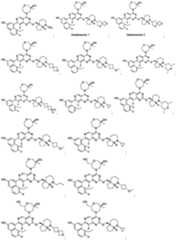 Figure imgf000048_0001