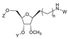 Figure imgf000134_0003