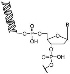 Figure imgf000063_0001