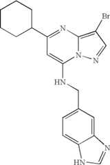 Figure US07119200-20061010-C01287