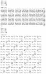 Figure IDA00002091897102171