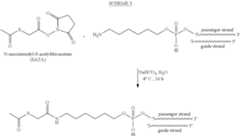 Figure US09260471-20160216-C00003