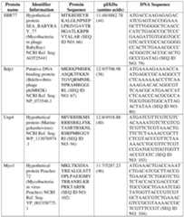 Figure imgf000051_0001