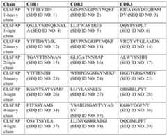 Figure imgf000027_0001