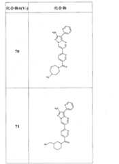 Figure FSB00000082108100441