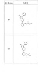 Figure FSB00000082108100181