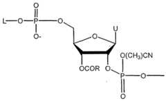 Figure imgf000007_0001
