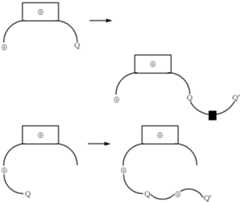 Figure US06348599-20020219-C00019