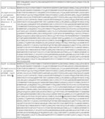 Figure imgf000093_0001