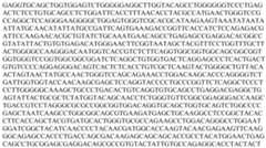 Figure PCTCN2019104680-appb-000022