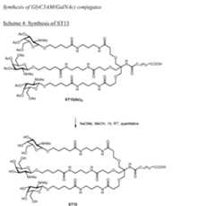 Figure imgf000032_0001