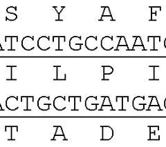 Figure imgf000084_0001