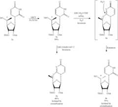 Figure US10612027-20200407-C00053