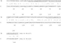 Figure BDA0004097668430000691