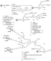 Figure BDA0003018192690003141