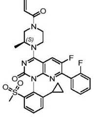 Figure BDA0002861043520000763