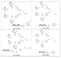 Figure 106103567-A0304-12-0256-244