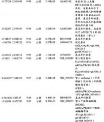 Figure BPA00001280678303151