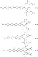 Figure BDA0002501168090000861