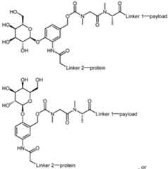 Figure imgf000010_0002