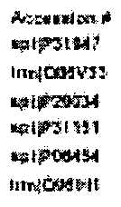 Figure imgf000147_0001