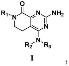 Figure BDA0002843129560000021