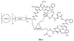 Figure imgf000080_0001