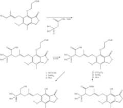 Figure US07427636-20080923-C00282