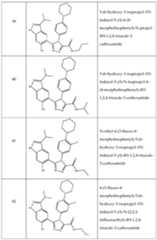 Figure imgf000054_0001