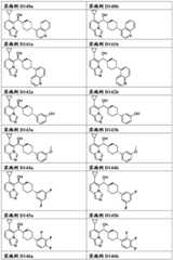 Figure FDA0003289571880000221