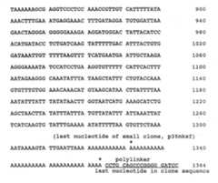 Figure imgf000030_0001