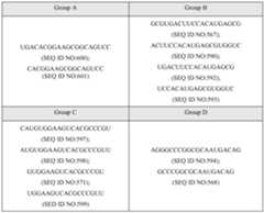Figure imgf000135_0001